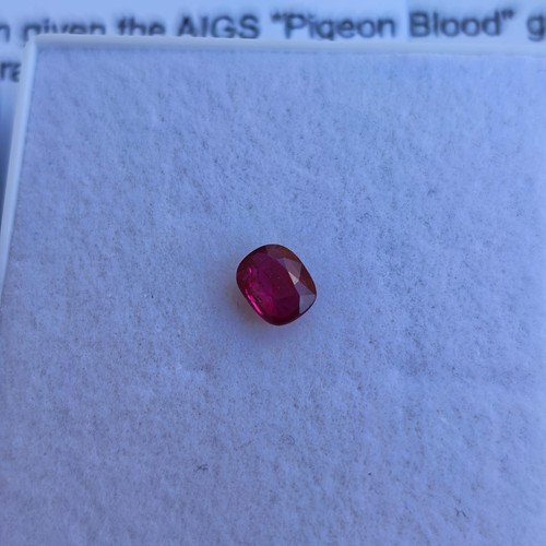 Sangue piccione rubino - piccione,